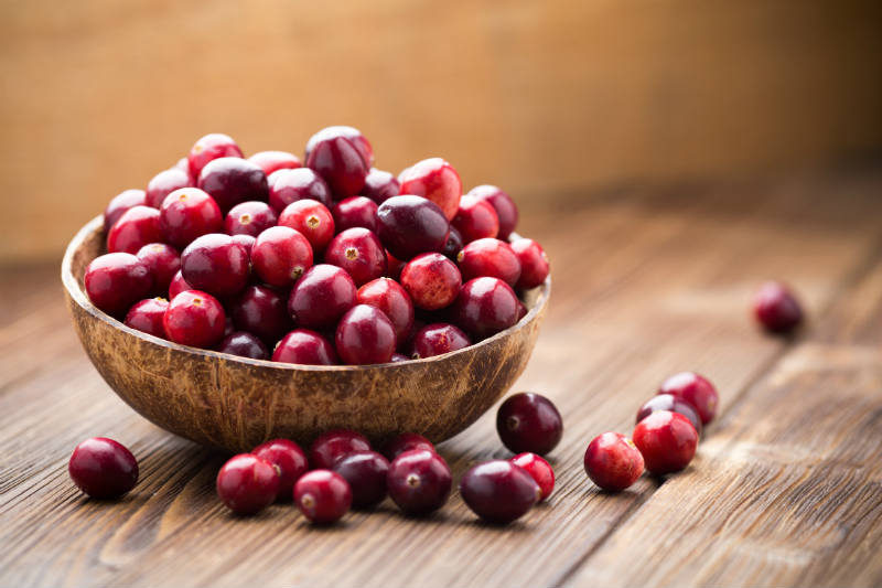 8 Amazing Health Benefits Of Cranberry - The Power Of The Antioxidants