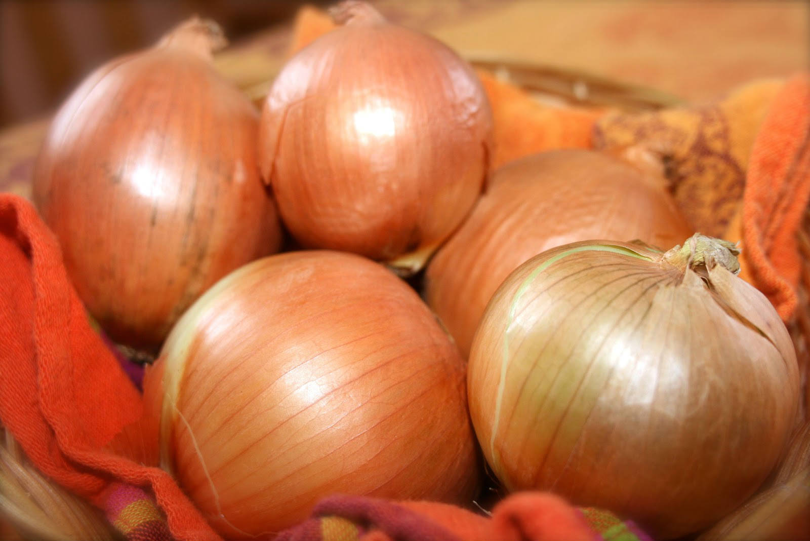 Onion The King Of Vegetables Best Herbal Health