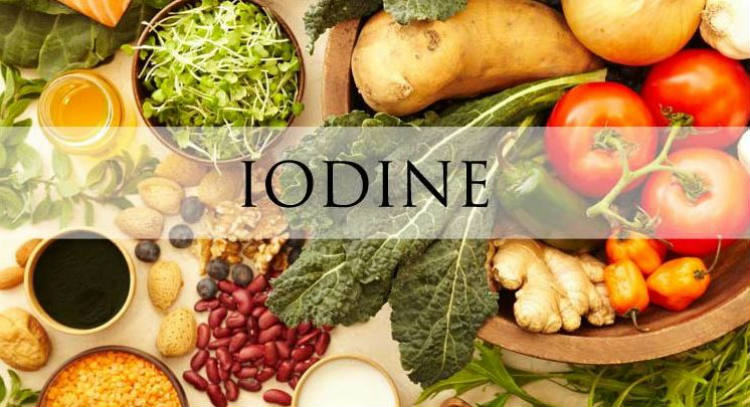 7 Iodine-Rich Foods You Should Include In Your Diet | Best Herbal Health