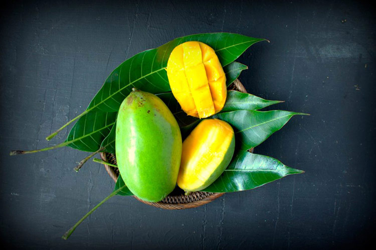 6 Science- Based Health Benefits of Mango Leaves Best Herbal Health