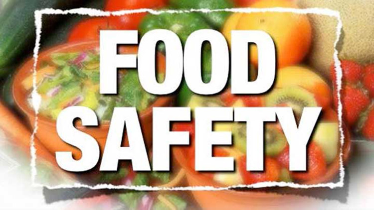 what-is-food-safety-what-does-it-mean-and-why-is-it-important